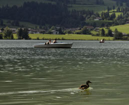 walchsee, tirol, austria