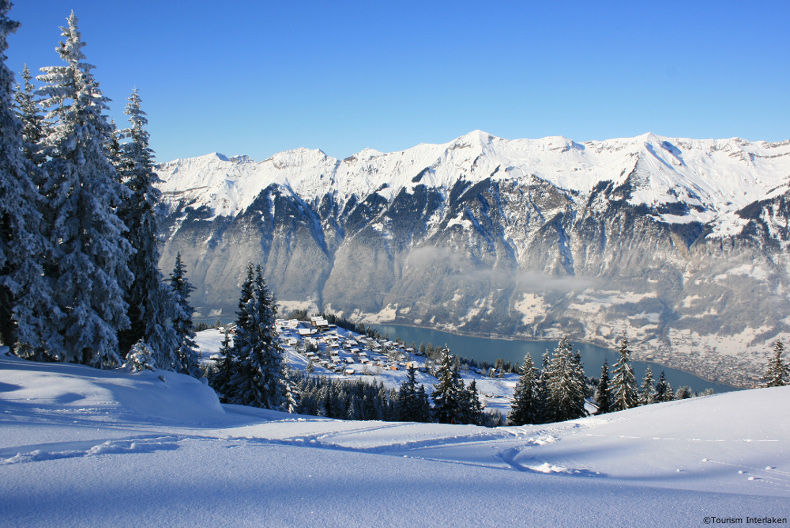 lake brienz in winter looking from the jungfrau