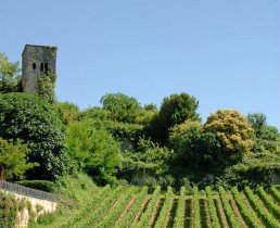 gironde vineyards holiday rentals