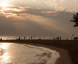 koloa condos to rent