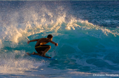 kauai surfer