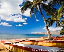 kihei lodging, vacation villas to rent