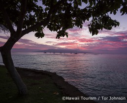 new providence condos to rent