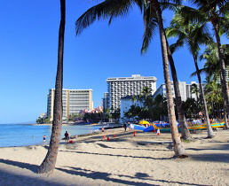 waikiki beach beach