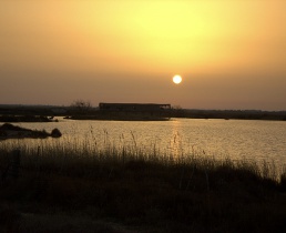 arles villa rentals, provence