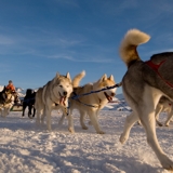 Photo of Alpe d'Huez