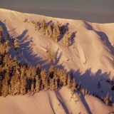 Photo of Alpine Meadows