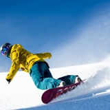 Photo of Alpine Meadows