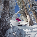 Photo of Alpine Meadows