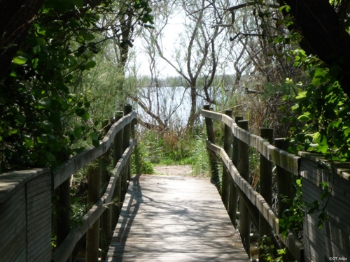 Large photo of Arles