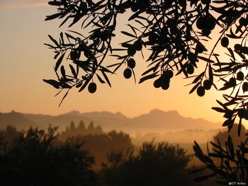 Large photo of Arles