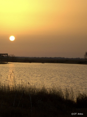 arles villa rentals, holiday homes