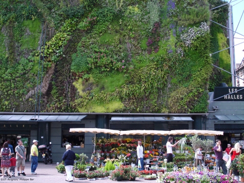 Large photo of Avignon