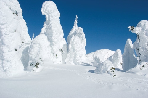 Large photo of Big White