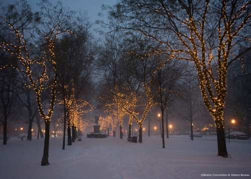 Large photo of Boston