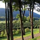 Photo of Canandaigua Lake 