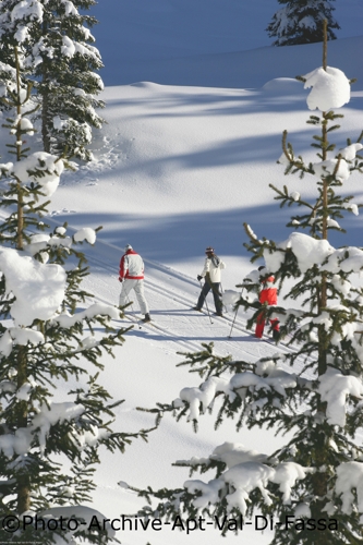 Large photo of Canazei