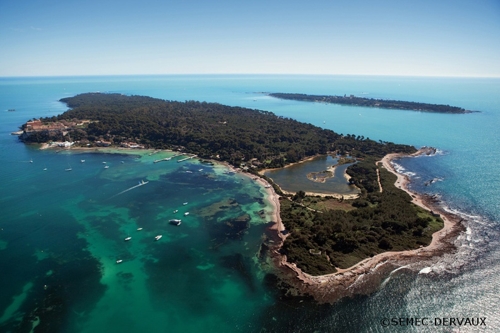 Large photo of Cannes
