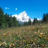 Photo of Cervinia