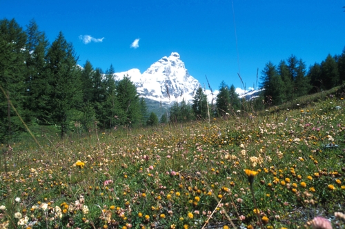 Large photo of Cervinia