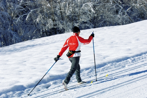 Large photo of Chatel