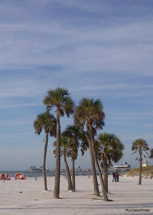 clearwater beach holiday accommodation, florida