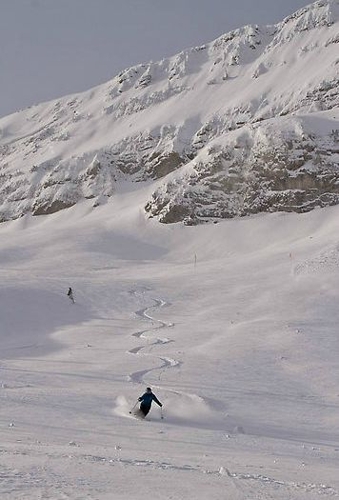 Large photo of Fernie