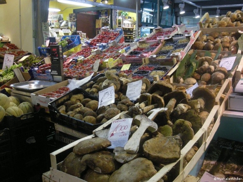 Large photo of Florence