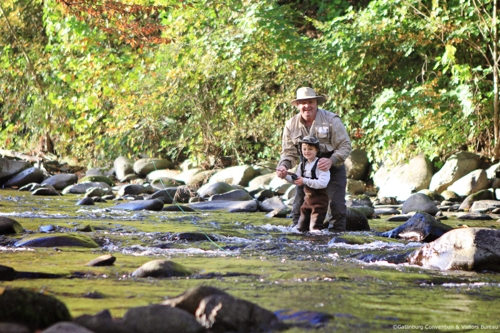 Large photo of Gatlinburg