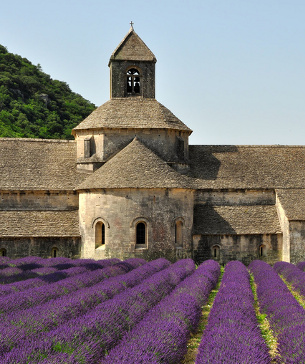 Gordes holidays, Senanque Abbey