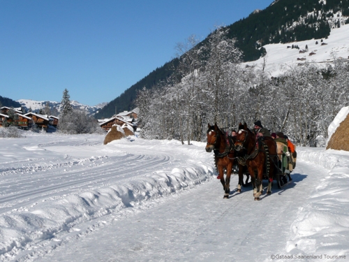 Large photo of Gstaad