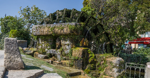 Isle sur la Sorgue water wheel