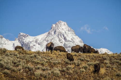 Large photo of Jackson Hole
