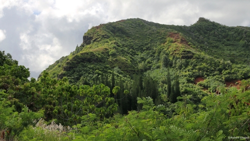 Large photo of Kapaa