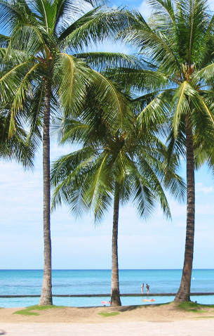 Kapolei vacation homes, condos