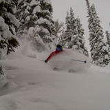 Photo of Kicking Horse