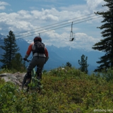 Photo of Kicking Horse