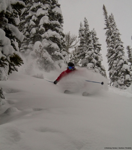 Large photo of Kicking Horse