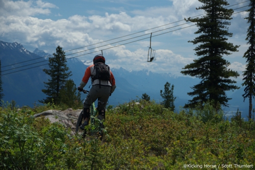 Large photo of Kicking Horse