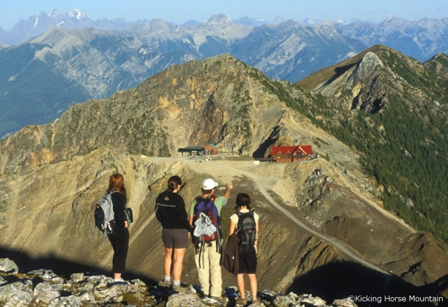 Large photo of Kicking Horse