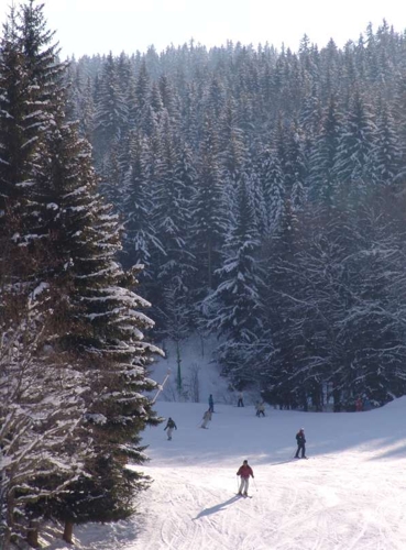 Large photo of La Tania