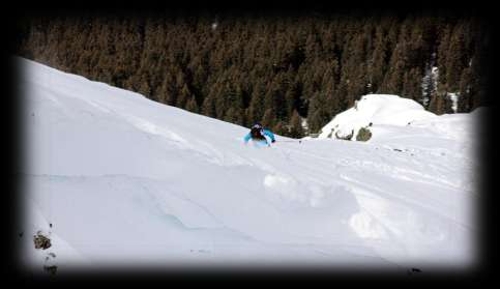 Large photo of La Tania