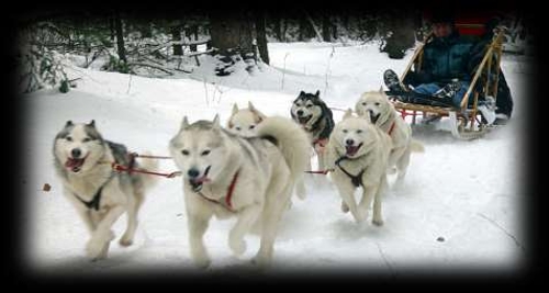 Large photo of La Tania
