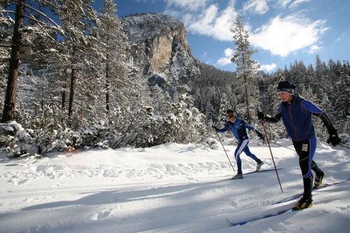 Large photo of La Villa