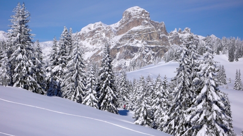 Large photo of La Villa