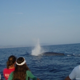 Photo of Laguna Beach