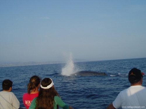 Large photo of Laguna Beach
