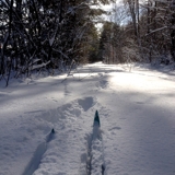 Photo of Lake Placid