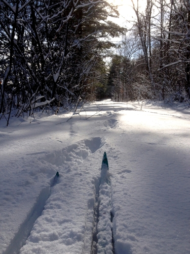 Large photo of Lake Placid