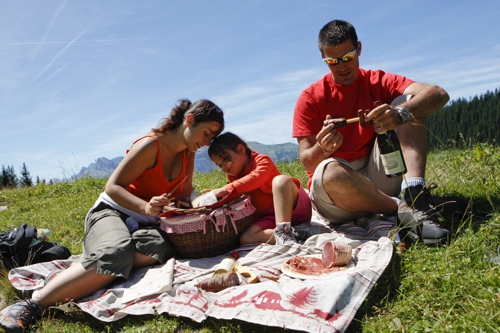 Large photo of Les Carroz